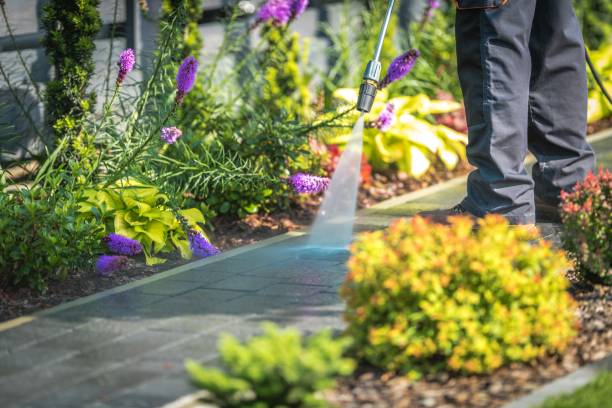 Best Patio and Deck Pressure Washing  in Inglewood, CA